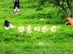 -百里天路