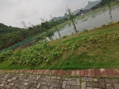 -南宁花花大世界景区
