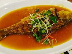 -清雅轩·清真菜·传统菜•融合菜(滑翔店)