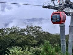 -牛背梁国家森林公园