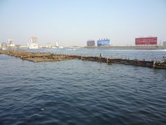 -海河外滩公园