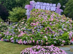 -上海滨江森林公园