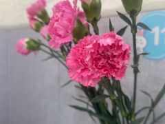 -来之顺海鲜菜馆·青岛菜(栈桥店)