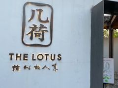 -几荷·恰似故人来(秀水广场店)