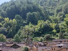 -杨家堂村