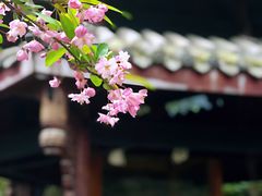 -凤栖山