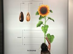 -四川大学博物馆