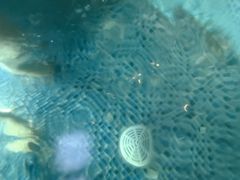 -浅深(北京北四环精品店)