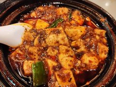 -陈麻婆豆腐总店