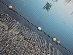 -天鹅湖体育公园