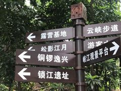 -铁山坪森林公园