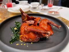 妙龄乳鸽-誉珑轩