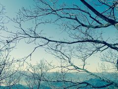 -九鼎铁刹山风景区