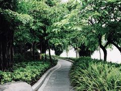 -南宁南湖公园
