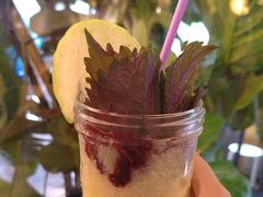 -野草莓自由市场