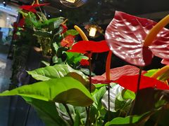 -舌尖上的食缘花园主题餐厅