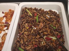 -格瑞欧海鲜自助烤肉火锅(光彩店)