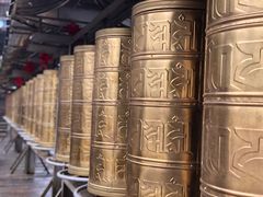 -武陵山森林公园