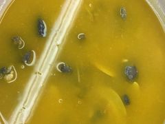 -滇铺子·云南特色菜·第九届野生菌美食节(东风东路c86店)