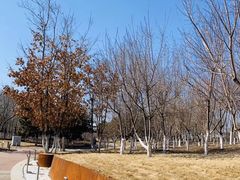 -莫子山公园