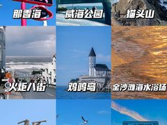 -金海滩海水浴场