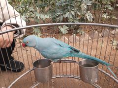 -南宫五洲植物乐园