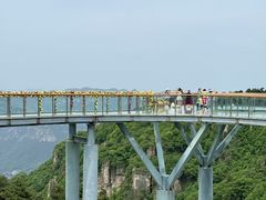 -王莽岭风景区