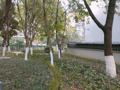 -宁波儿童公园(鄞州区)