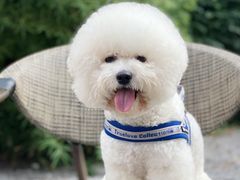 -北化机爱工场文化科技融合产业园