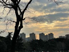 -青枫公园