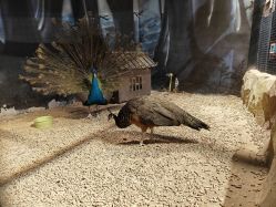 -酷嗒动物文化乐园(cutezoo西溪乐天城店)