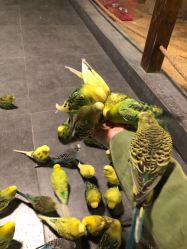 -酷嗒动物文化乐园(cutezoo西溪乐天城店)