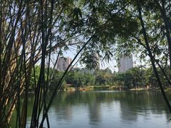 -晓港公园