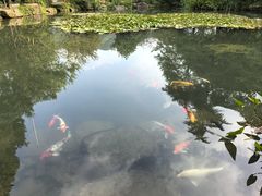 -中国茶叶博物馆(双峰馆区)