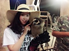-清迈夜间动物园