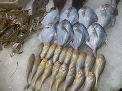 -渔人码头(中南店)