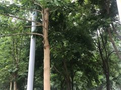 -五环公园
