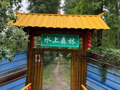 -渌洋湖湿地公园