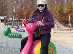 -黄海国家森林公园