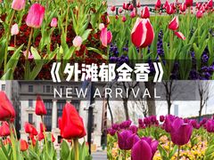 -外滩
