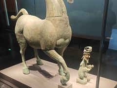 -广西壮族自治区博物馆