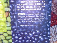 -南宁市科技馆