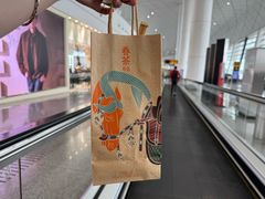 -郑州新郑国际机场-T2航站楼
