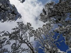 -瓦屋山景区