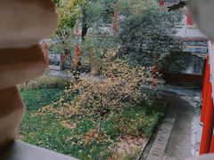 -开福禅寺