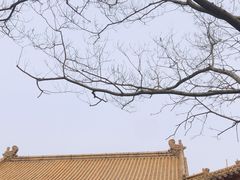 -明故宫遗址公园