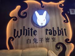 -白兔子密室(长寿路店)