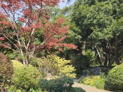 -浙江西子宾馆·牡丹厅