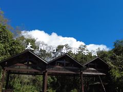 -普洱太阳河森林公园