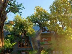 -Chom Cafe and Restaurant